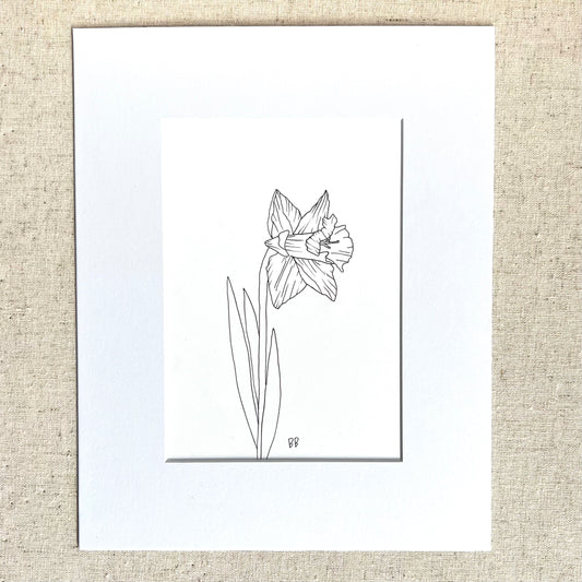 “Beauty in the Park” Original Hand-Drawn Daffodil