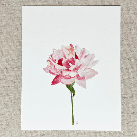 Pink Peony Flower 8x10 Print