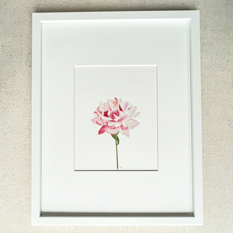 Pink Peony Flower 8x10 Print